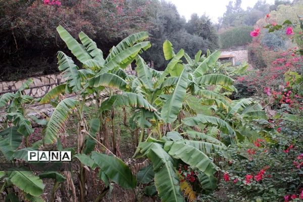 طبیعت زیبای بهبهان