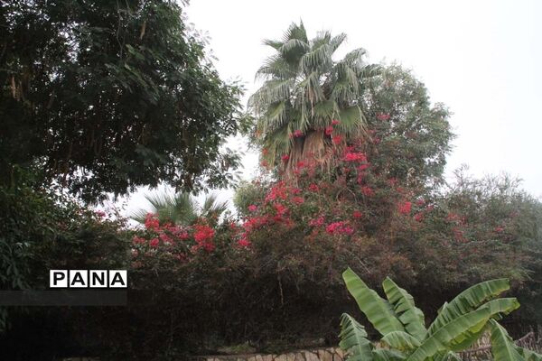 طبیعت زیبای بهبهان