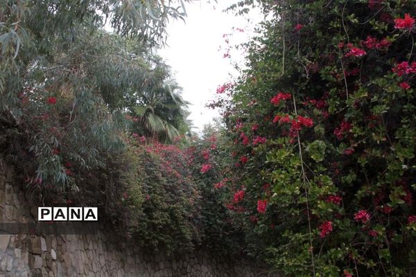 طبیعت زیبای بهبهان