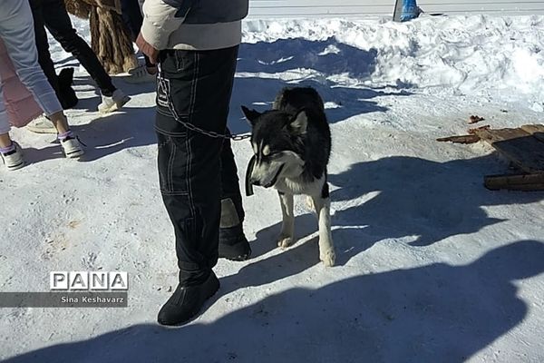 طبیعت برفی سپیدان استان فارس