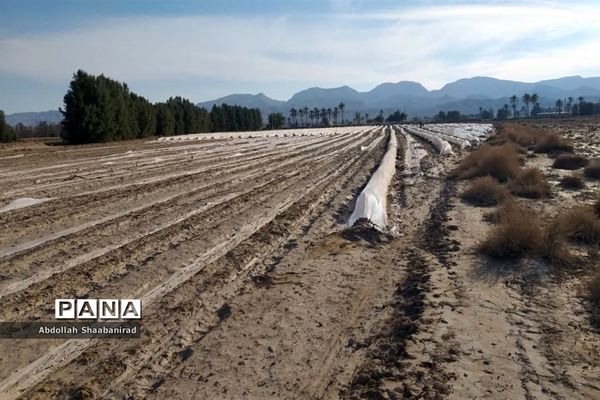 بیرم، ده روز پس از سیل