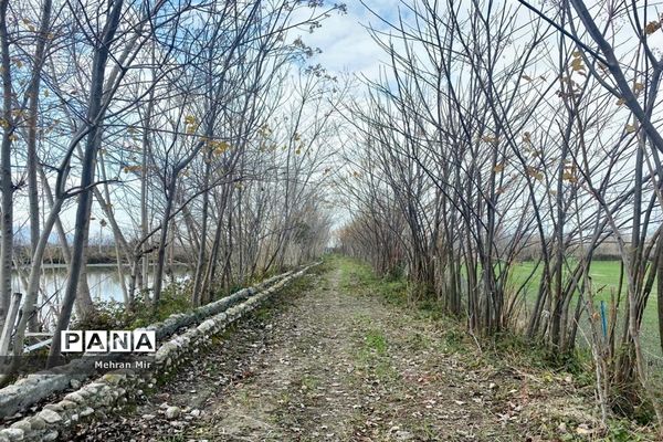 جلسه روسای ادارات دانش‌آموزی شهرستان‌های گلستان