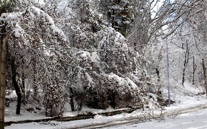 بارش ۳۰ سانتی برف در محورهای کوهستانی گیلان