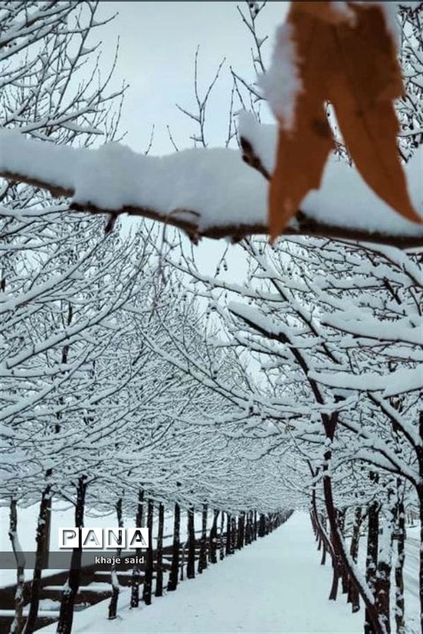 بارش برف در فریدونشهر اصفهان