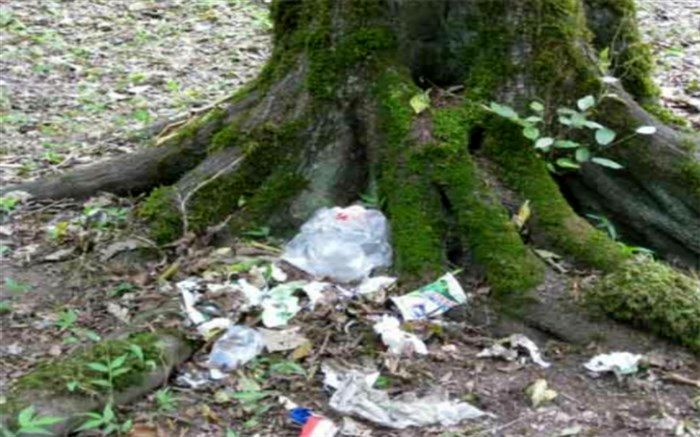ریخت و پاش زباله‌ها در بهشت زمینی شهر کاج