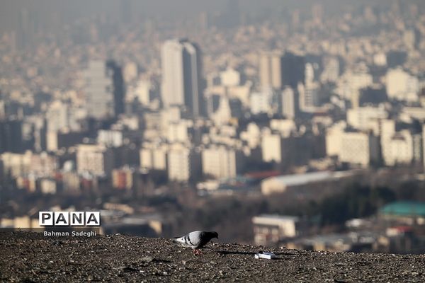 هوای تهران در روز هوای پاک !