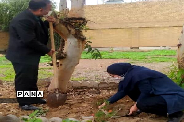 آیین نهال کاری توسط مدافعان سلامت در شهرستان کارون