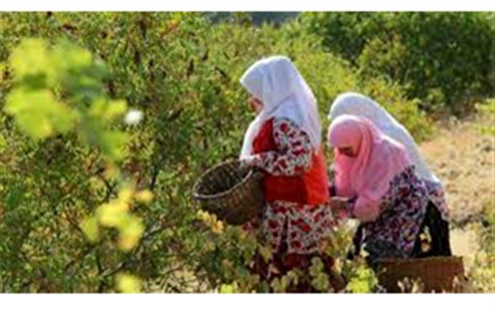 ثبت 4 اثر فرهنگی ناملموس قزوین در فهرست آثار ملی