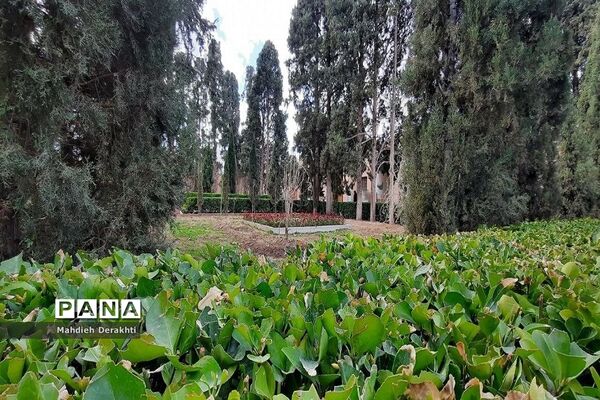 فین، مشهورترین باغ ایرانی در دل کویر کاشان
