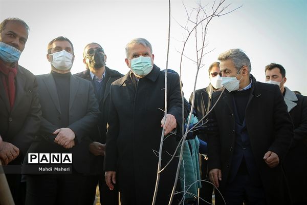 مراسم درختکاری در پارک پردیسان