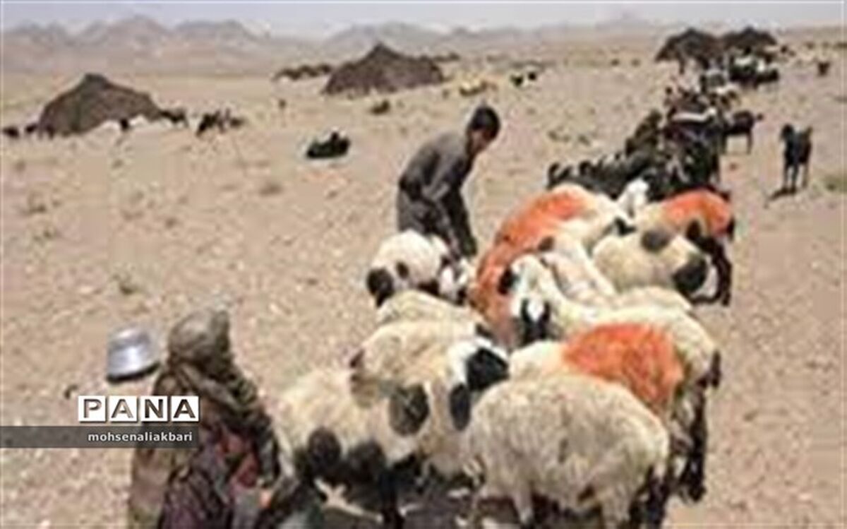 لزوم واکسیناسیون دام‌ها قبل از کوچ