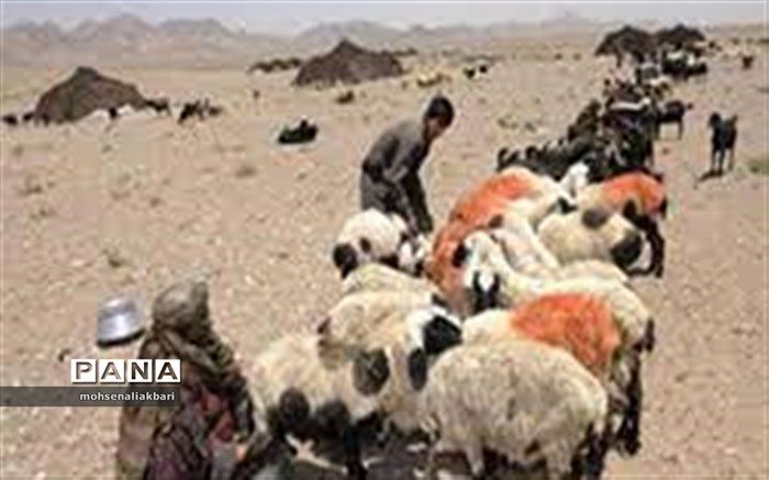 لزوم واکسیناسیون دام‌ها قبل از کوچ