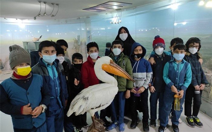 آشنایی دانش‌آموزان دبستان علامه حلی با گونه‌های جانوری و حیات وحش خراسان جنوبی