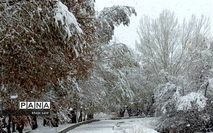 ادامه بارش برف و باران درکشور؛آسمان پایتخت ابری است