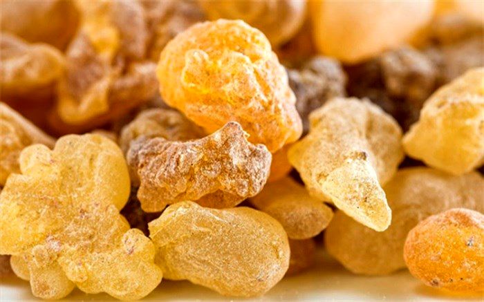 کُندر از بروز کدام بیماری‌ها پیشگیری می‌کند؟