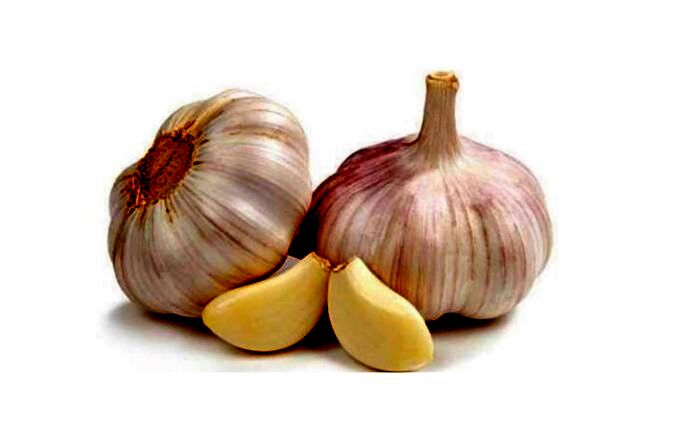 از خواص سیر غافل نشوید