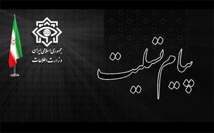 پیام تسلیت وزیر اطلاعات برای درگذشت آیت­‌الله­ صافی گلپایگانی