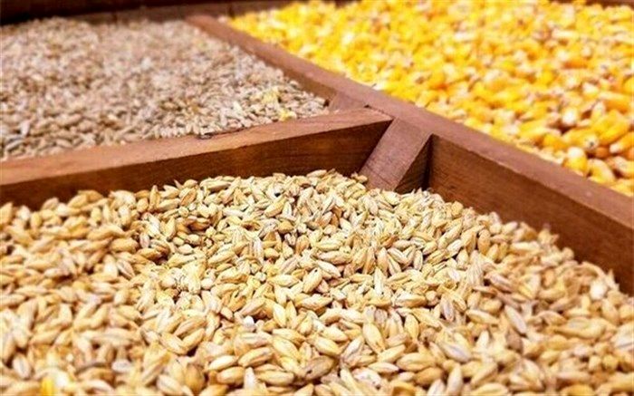 توزیع بیش از ۸۰ هزار تن نهاده دامی در آذربایجان‌شرقی