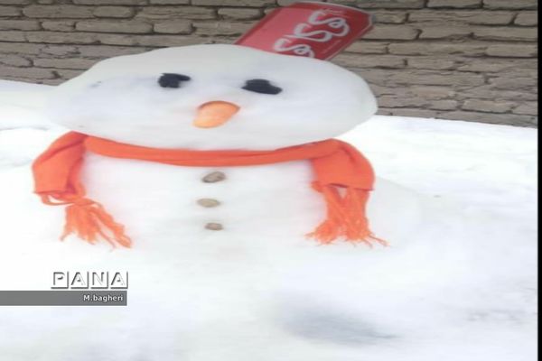 بارش برف بهانه‌ای برای برگشت آدم برفی ها
