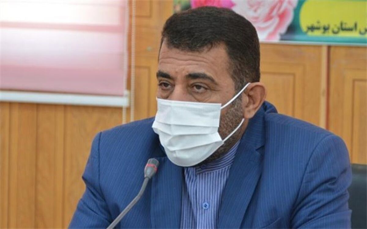 یک‌هزار برنامه در دهه فجر در مدارس استان بوشهر  برگزار می‌شود