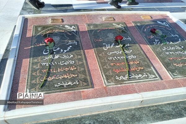 مهمانی لاله‌ها در  زیارتگاه شهید مدرس کاشمر