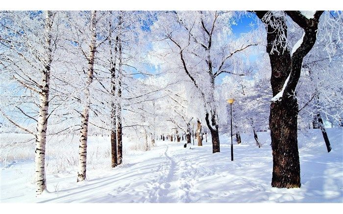 برف و کولاک در راه آذربایجان‌شرقی