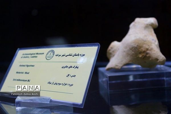 نظاره تمدنی ۵ هزار ساله در موزه شهر سوخته