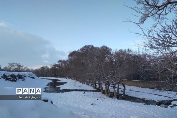 طبیعت برفی و هوای پاک در روستای بیدهند قم