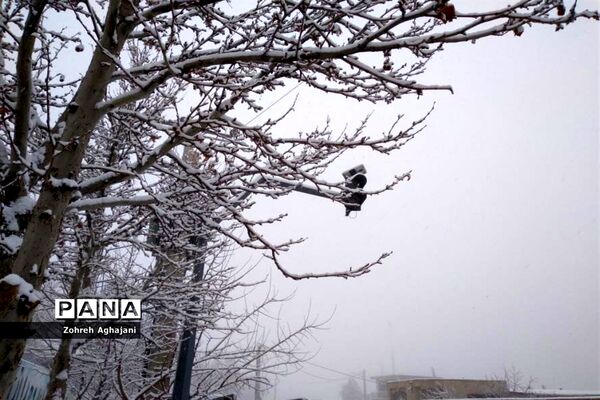 طبیعت برفی و هوای پاک در روستای بیدهند قم