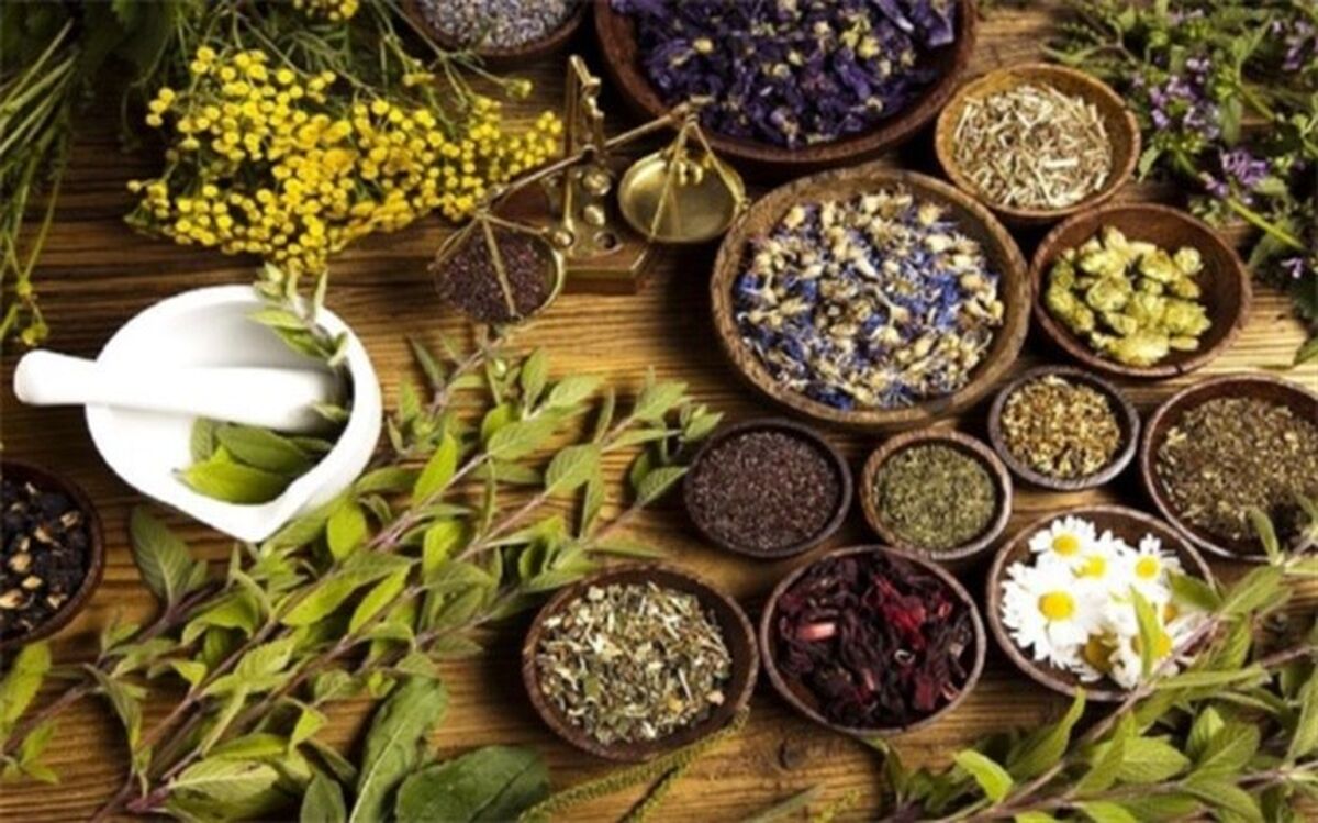7 گیاه دارویی معجزه‌گر