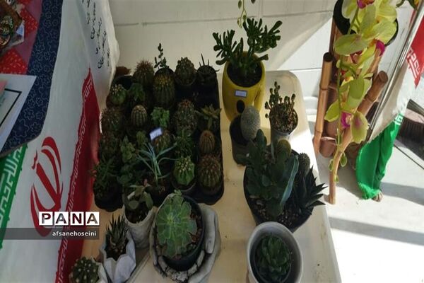 برپایی نمایشگاه توانمندی‌ها و دستاوردهای بانوان در فیروزکوه