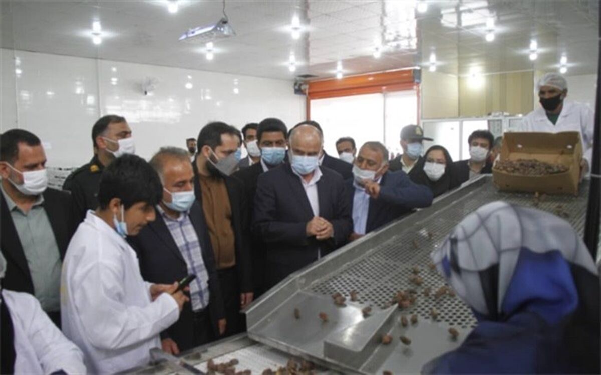 کارخانه بسته‌بندی خرما و سردخانه محصولات کشاورزی در آب پخش دشتستان افتتاح شد