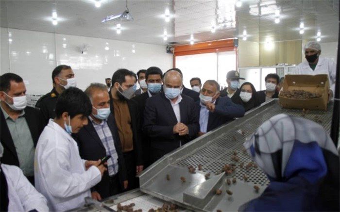 کارخانه بسته‌بندی خرما و سردخانه محصولات کشاورزی در آب پخش دشتستان افتتاح شد