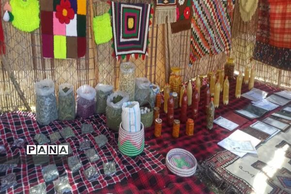برپایی جشنواره غذاهای محلی و سنتی توسط مربیان پیشتاز کهگیلویه و بویراحمد