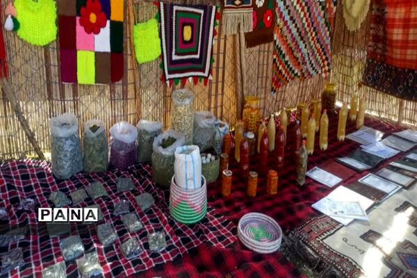 برپایی جشنواره غذاهای محلی و سنتی توسط مربیان پیشتاز کهگیلویه و بویراحمد