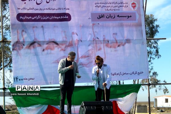 جشنواره آوای سرخ تالاب ها در گلوگاه