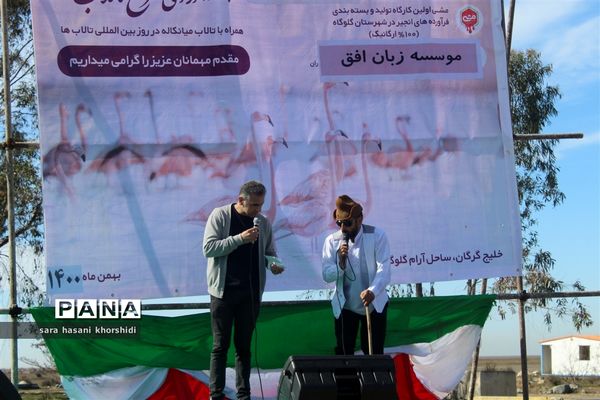 جشنواره آوای سرخ تالاب ها در گلوگاه