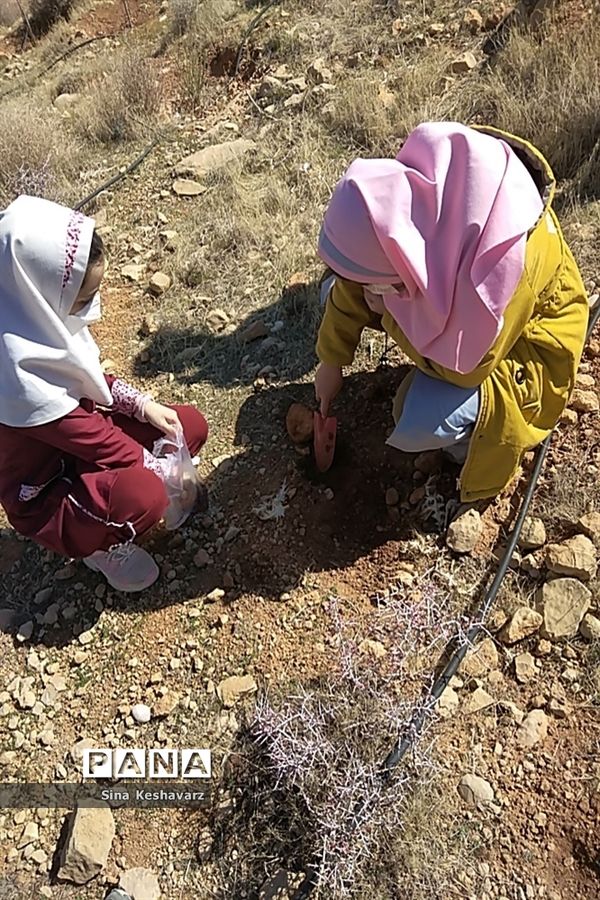 اجرای طرح مشارکتی زاگرس سبز با حضور مربیان و دانش‌آموزان پیشتاز سازمان دانش‌آموزی فارس