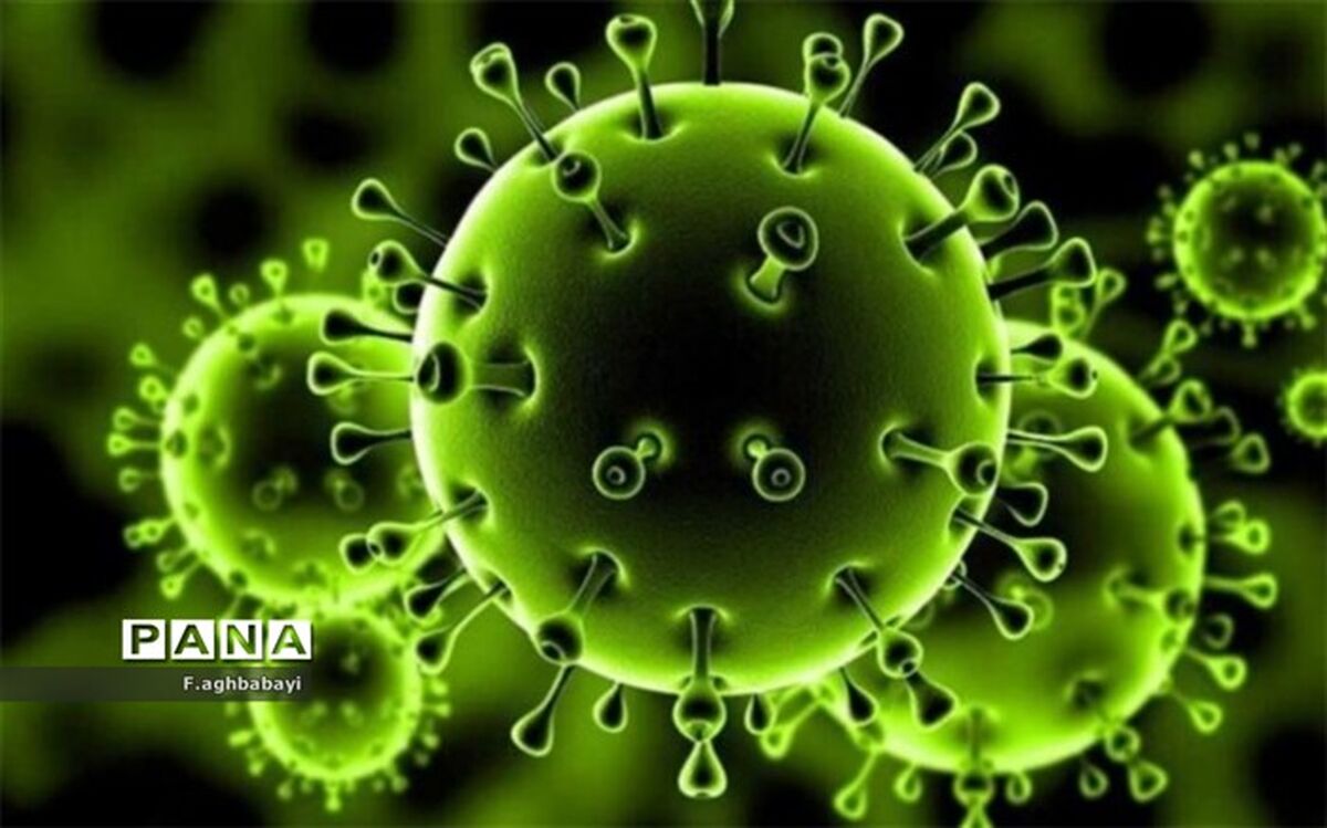 مدارس شهرکرد غیرحضوری شد