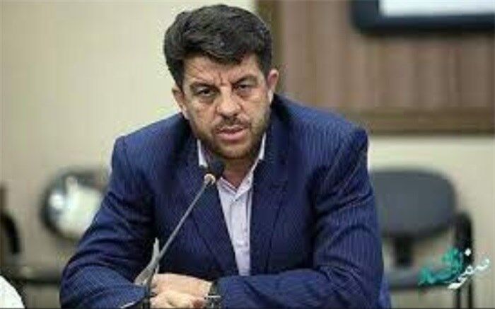 رعیتی‌فرد: 30 درصد اقتصاد دولتی در وزارت کار است