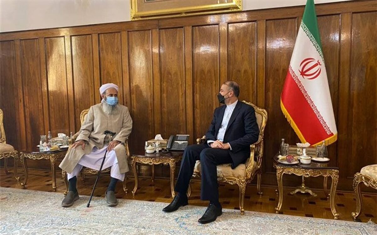 برنامه‌های جامع وزارت خارجه در استیفای حقوق ایرانیان خارج کشور