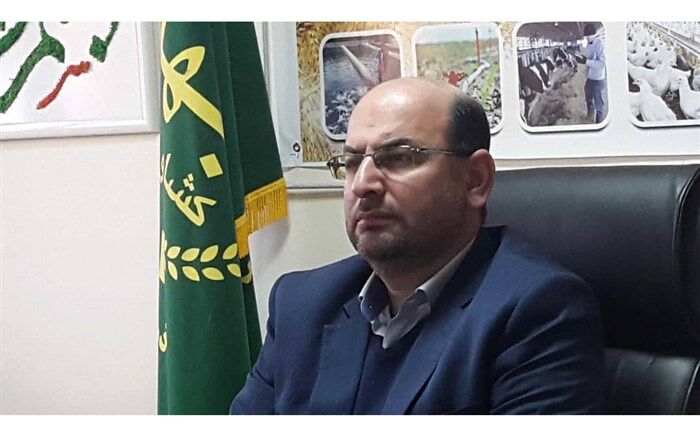 حداکثر قیمت پرتقال و سیب شب عید اعلام شد