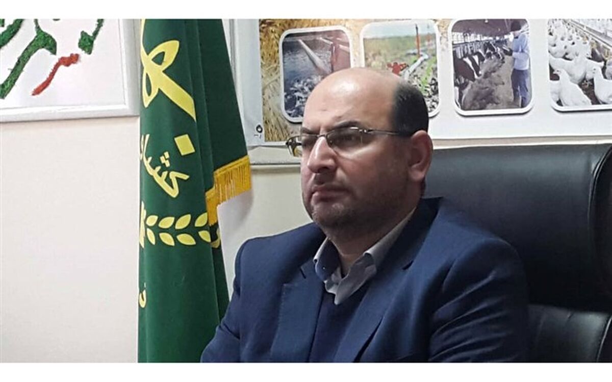 حداکثر قیمت پرتقال و سیب شب عید اعلام شد