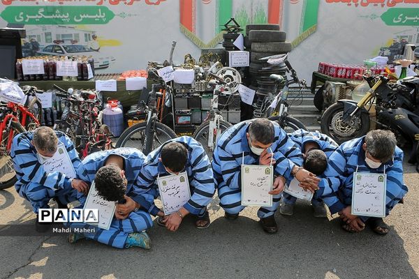 اجرای طرح ضربتی پلیس پایتخت