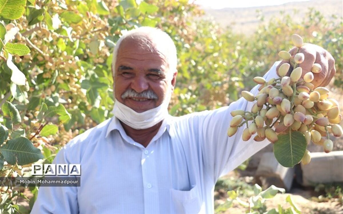 اولین گام وزارت جهاد کشاورزی برای صدور شناسنامه باغات کشور