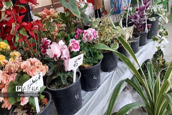 افتتاح بازارچه مشاغل خانگی در آباده