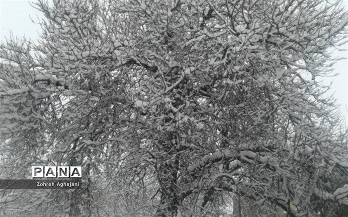 بارش برف و باران در اکثر محورهای مواصلاتی