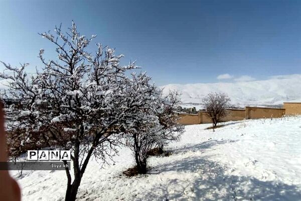 بارش اولین برف اسفند در فارسان