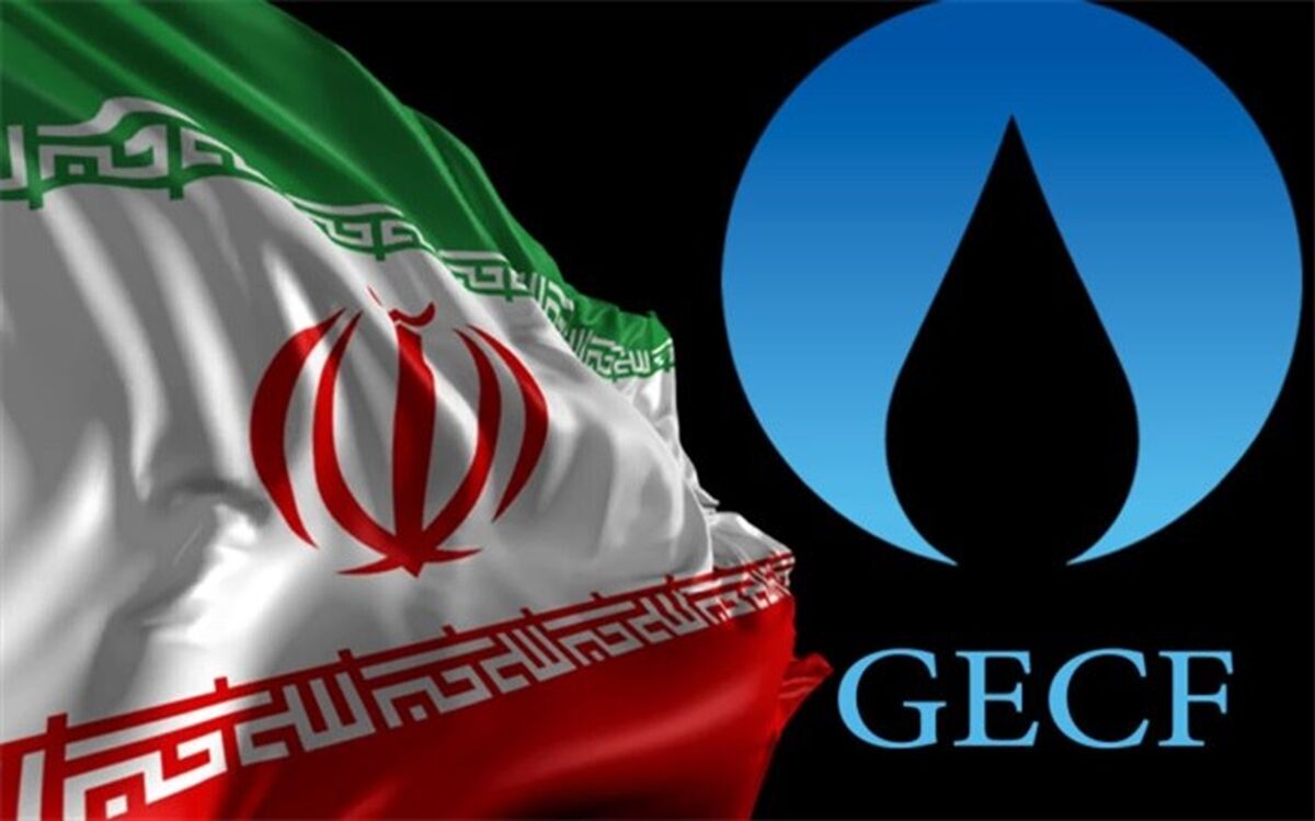 بررسی زمینه‌‌های همکاری ایران و الجزایر در بخش انرژی