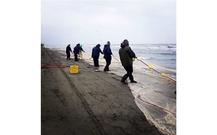 سفره گشوده خزر به روی صیادان گیلانی